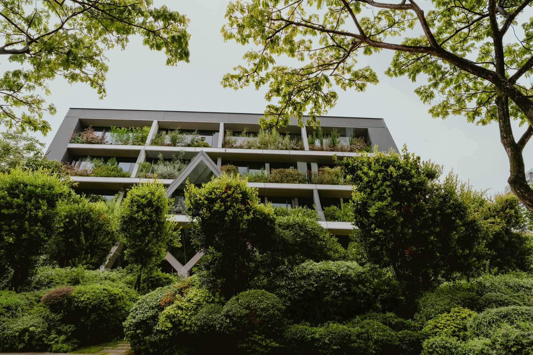 日光物業全景
